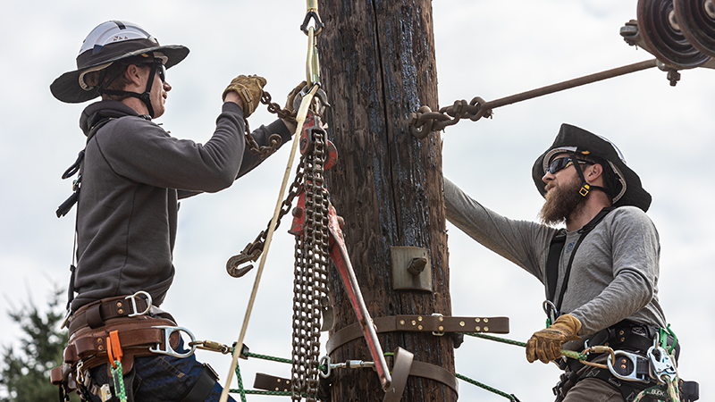 two lineworkers wearing a hard hats and harnesses working on a line, attached to a pole, cloudy sky and a tree in the background