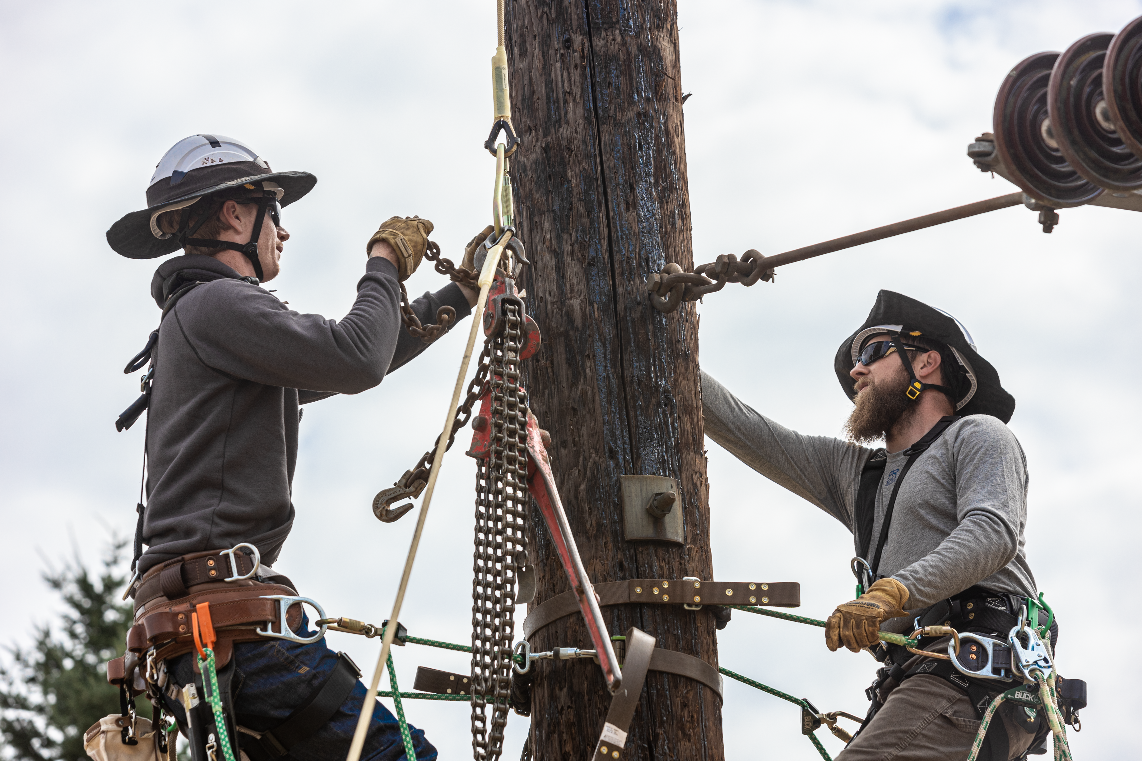 two lineworkers wearing a hard hats and harnesses working on a line, attached to a pole, cloudy sky and a tree in the background