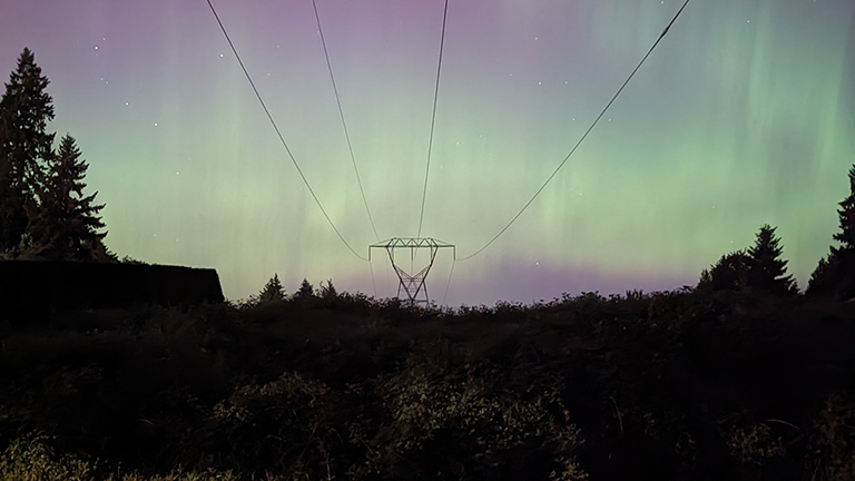 night sky with silhouette of tree skyline and transmission lines and towers running through the center of the image