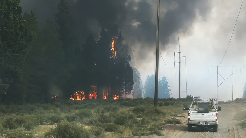 roadway with power lines with white truck parked, viewed from behind, trees on fire to the right